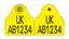 Picture of Scotland Pig Combi 2000® Flag | Layout 3