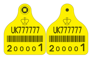 Picture of Scotland Cattle New Run Primary Combi 3000® Large - with Barcode