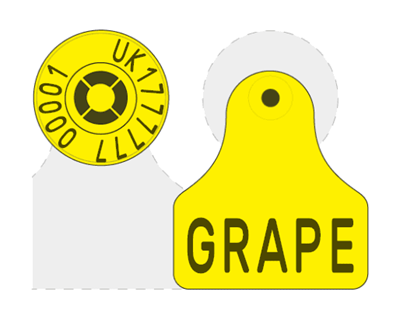 Picture of Northern Ireland Sheep New Run EID Combi E23® Mini | Layout 4