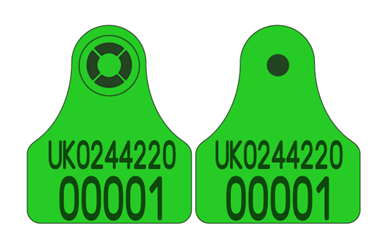 Picture of Scotland Sheep New Run Visual Combi 3000® Mini | Layout 1