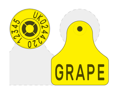 Picture of Scotland Sheep Replica EID Combi E23® Mini | Layout 2