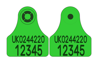 Picture of Scotland Sheep Replica Visual Combi 3000® Mini | Layout 1