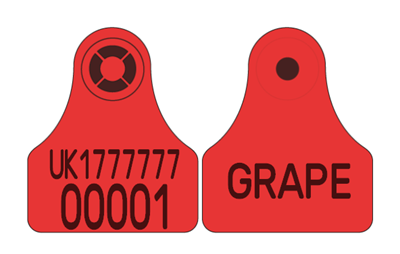 Picture of Northern Ireland Sheep Replacement Visual Combi 3000® Mini | Layout 4