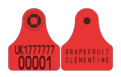 Picture of Northern Ireland Sheep Replacement Visual Combi 3000® Mini | Layout 5